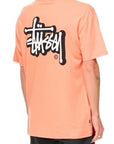 STUSSY SOLID OFFSET SS TEE