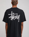 STUSSY GRAFFITI LCB SS TEE